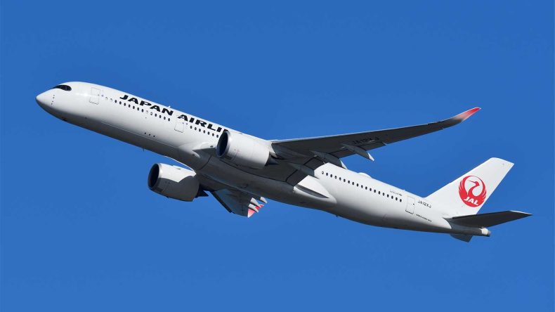 飛行機が飛んでいる画像