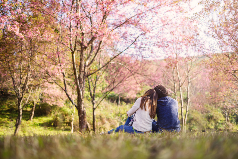 春はやっぱり出会いが多い？お花見婚活のメリット、特徴を解説！