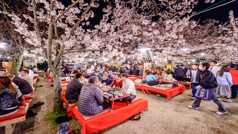 日本の花見はおかしい