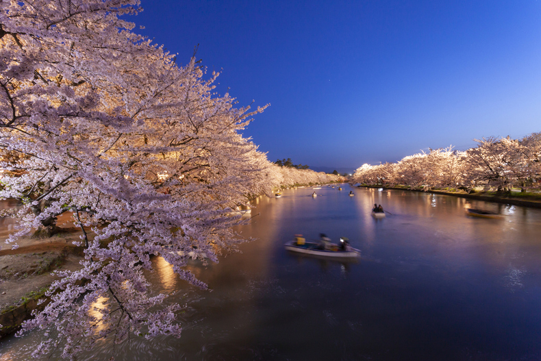 お花見を楽しむためのお金の節約術とは？