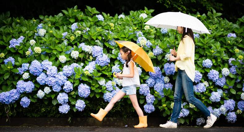 実は梅雨は子どもの教育にメリット？知っておきたい雨の日の子育て