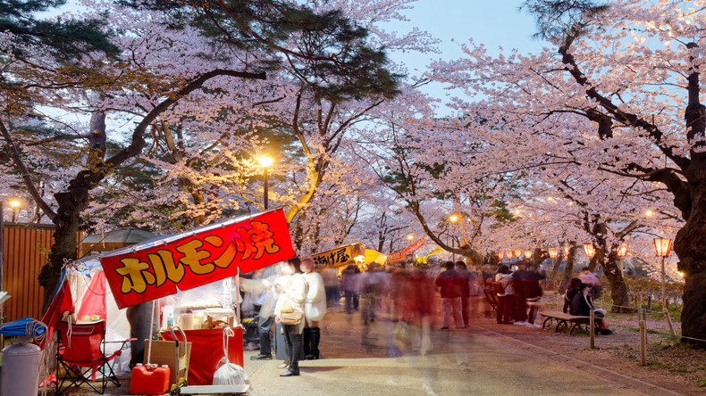 お花見の経済効果は想像以上⁉今後の観光を支えられるのか？